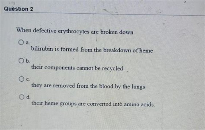 When defective erythrocytes are broken down?
