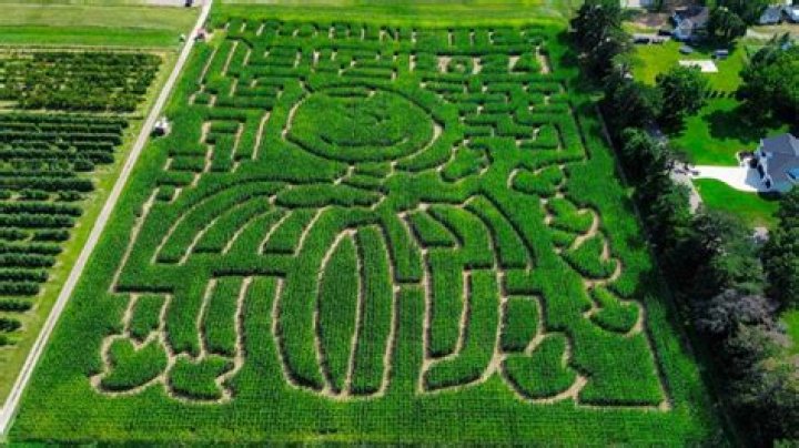 When did corn mazes start?