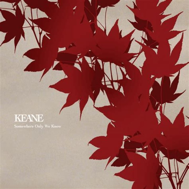 When did keane retire?