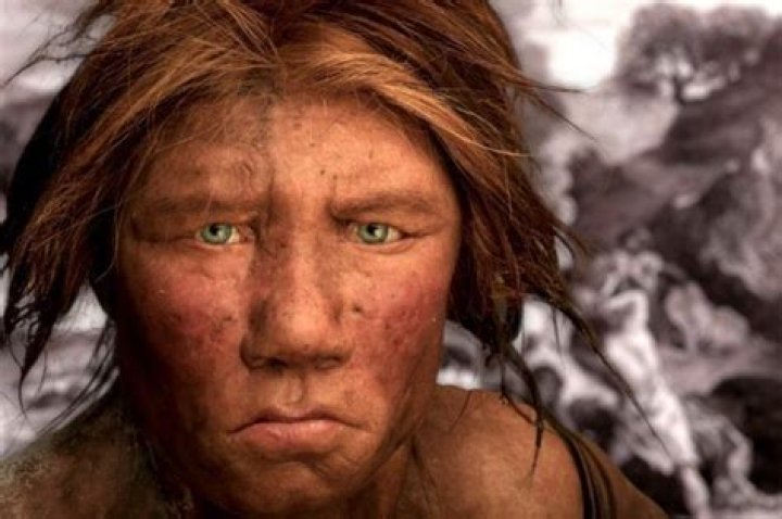 When did neanderthals become extinct?