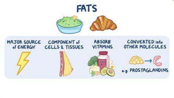 When dietary fat is needed for energy?