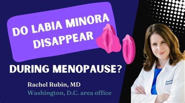 When do labia minora develop?