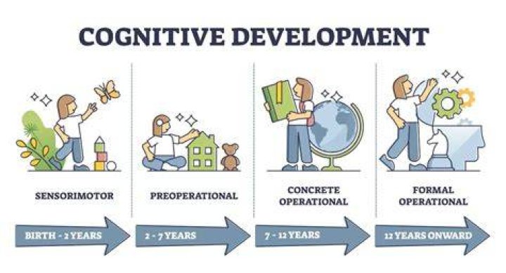 When do the developmental phenomena of egocentrism occur?