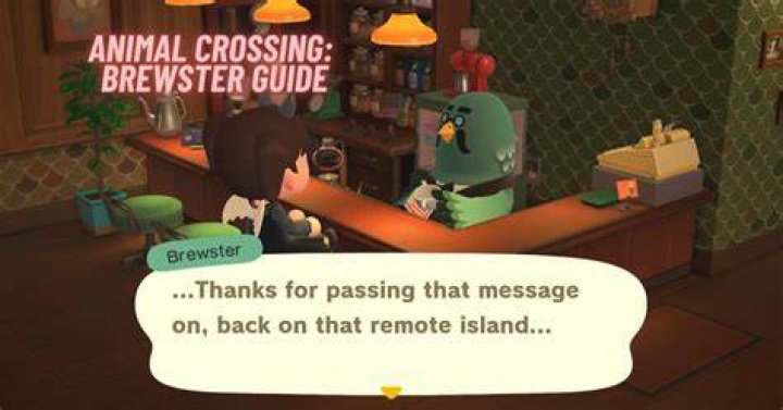 When does brewster come to new horizons?