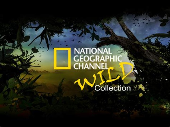 When is barkskins on nat geo?
