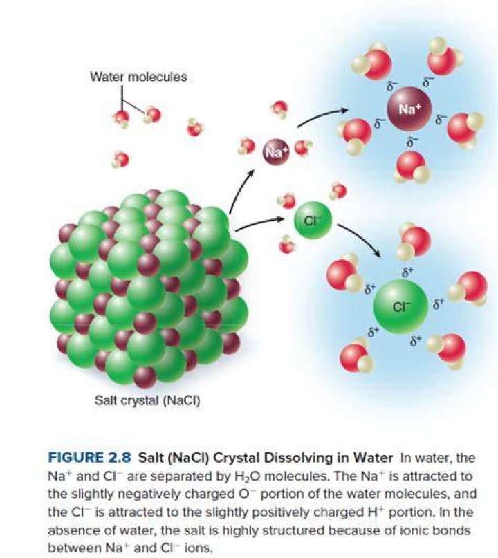 When naf is dissolved in water what ions are released?