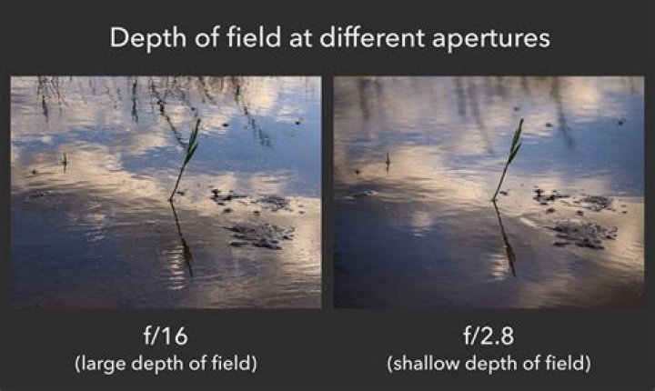 When shallow depth of field?