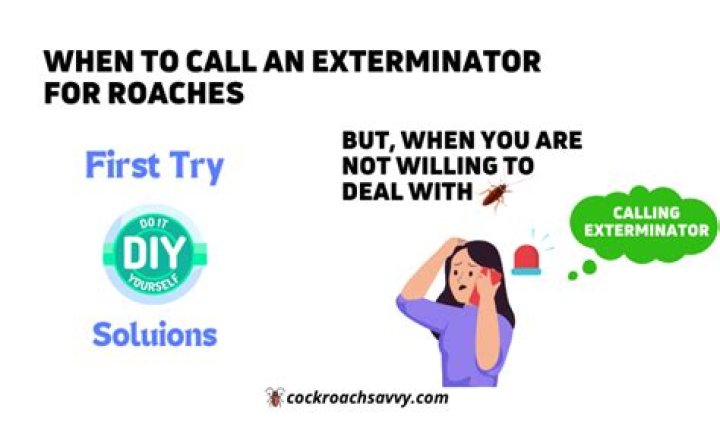 When to call exterminator for ants?
