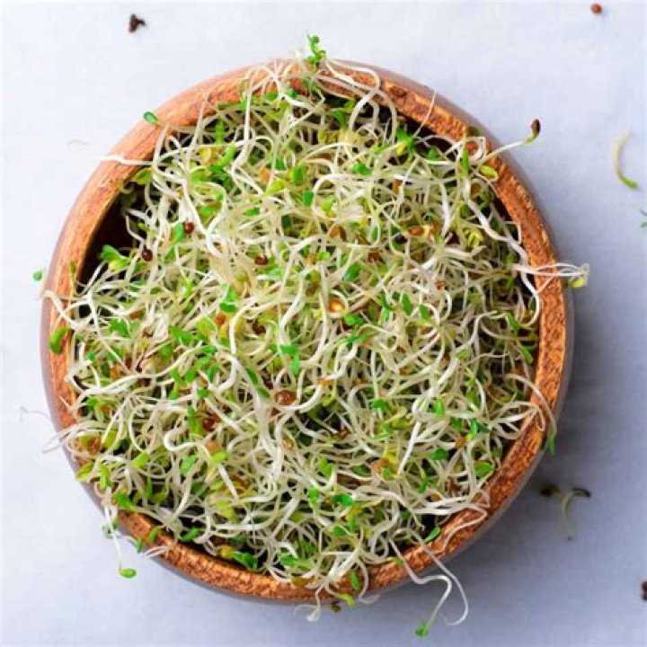 When to spray alfalfa for bugs?