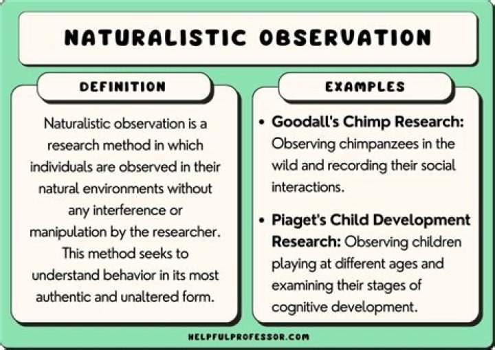 When to use naturalistic?