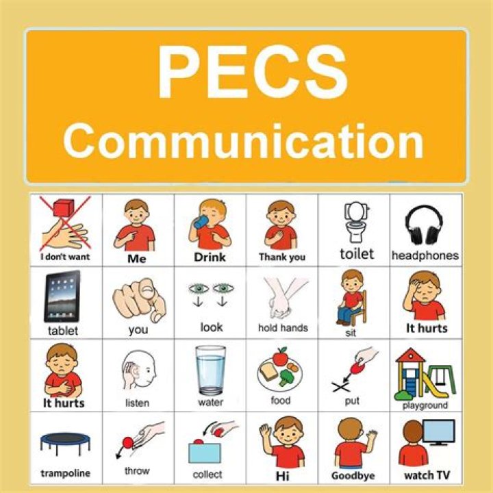 When to use pecs?