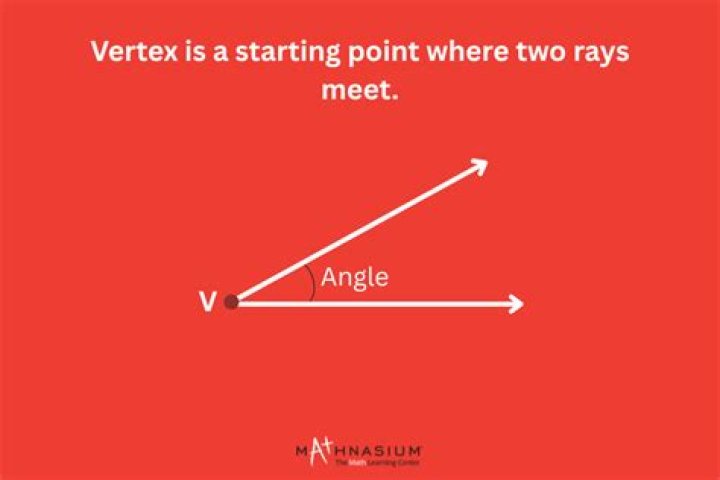 When two rays meet at a point it is called?