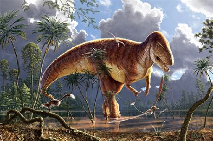 When was megalosaurus discovered?