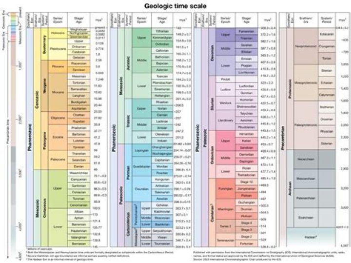 When was paleobiology originated?