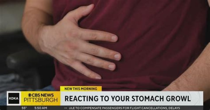 When your stomach is growling what does that mean?