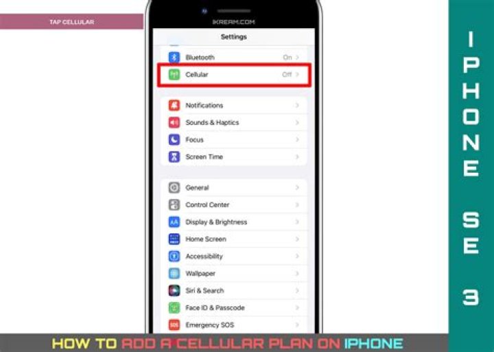 Where's cellular on iphone?
