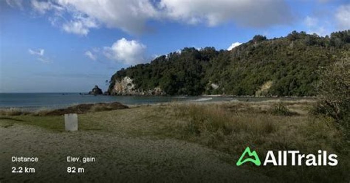 Where are kotuku found in new zealand?