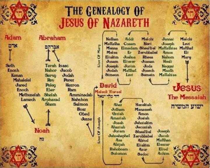Where are the genealogies in the bible?