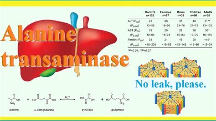 Where are transaminases found?