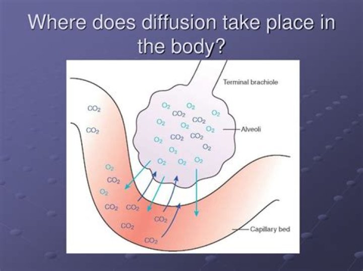 Where can diffusion take place?