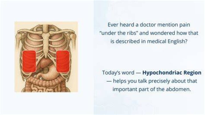 Where can hypochondriac region be found?