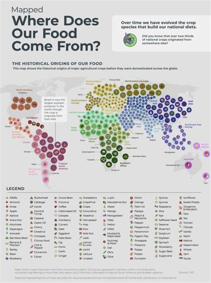 Where did fermented food originated?
