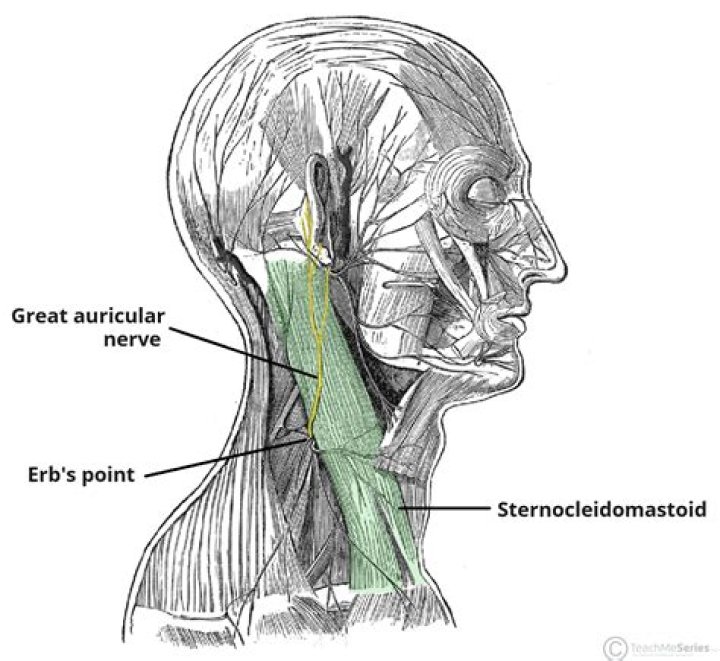 Where did gauging ears originate?