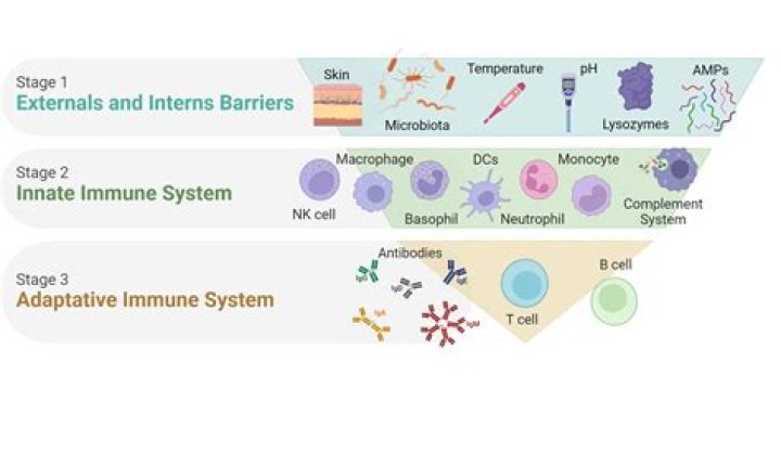 Where do biologics come from?