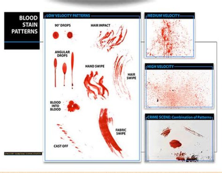 Where do bloodstain pattern analysis work?
