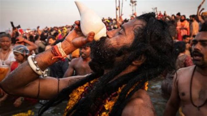 Where do naga sadhus go after kumbh?