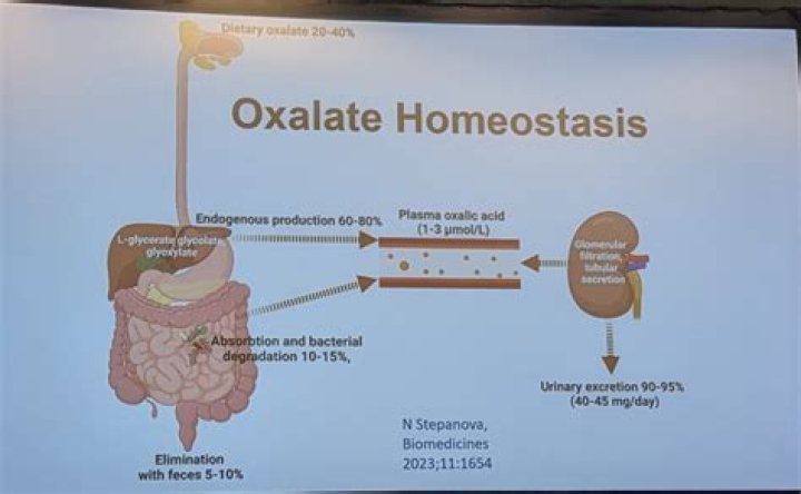 Where do oxalates come from?