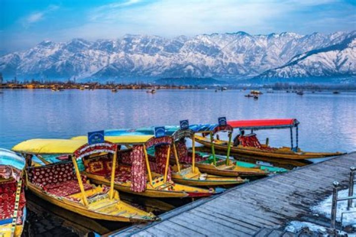 Where do tourists take rides in shikaras?