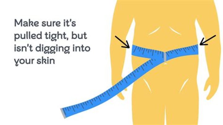 Where do you measure your waistline?