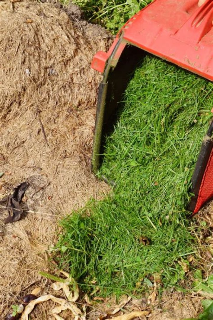 Where do you put grass clippings?