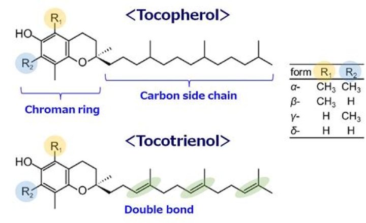 Where does alpha tocopherol come from?