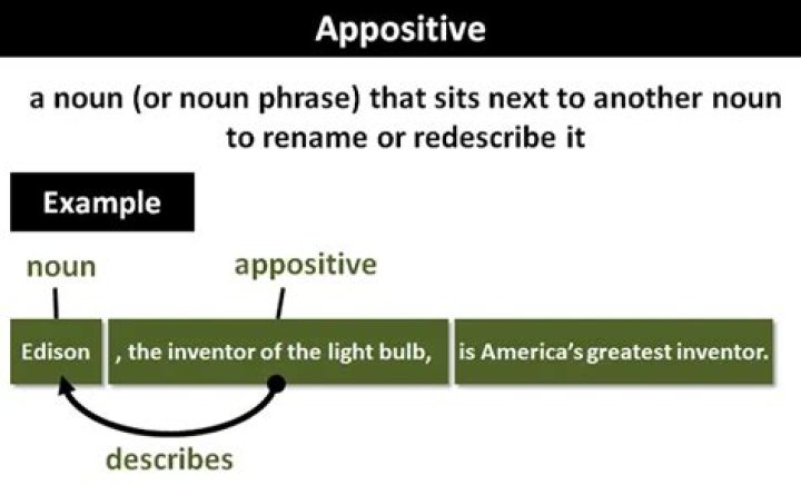 Where does appositive come from?