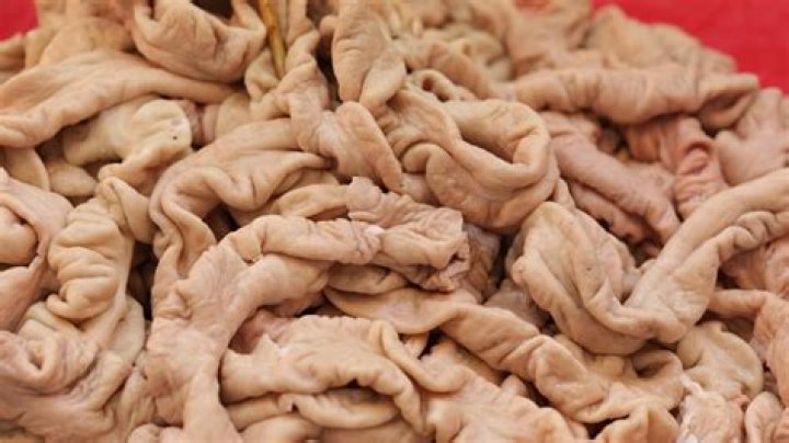 Where does chitlins come from?