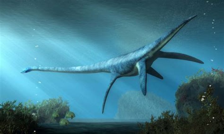 Where does elasmosaurus live?