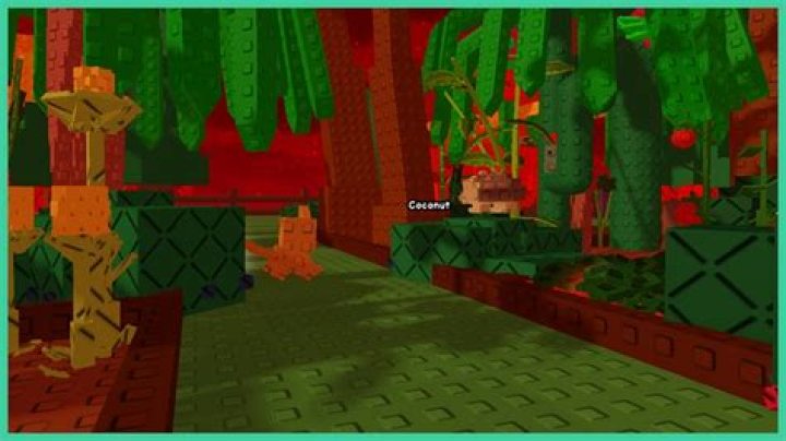 Where does marblewood grow?