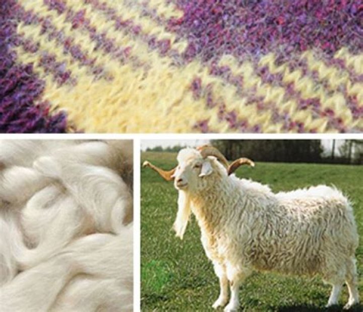 Where does mohair fiber come from?
