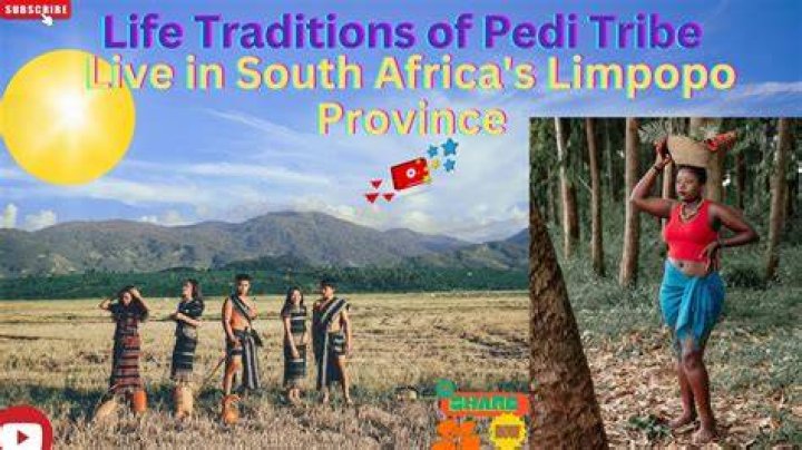 Where does pedi come from?