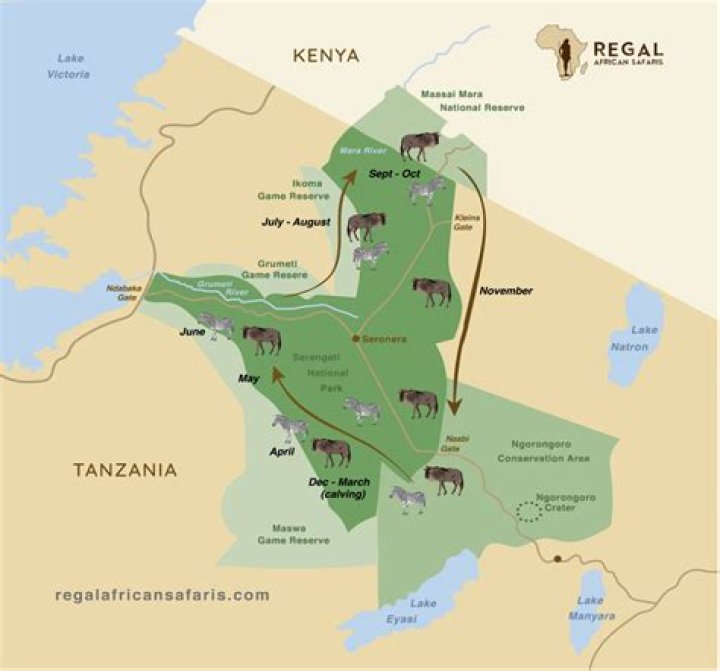Where does wildebeest live?