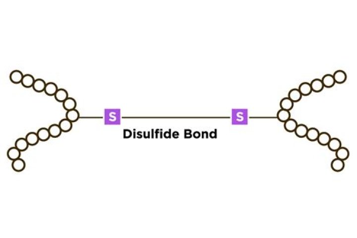 Where is disulfide found?