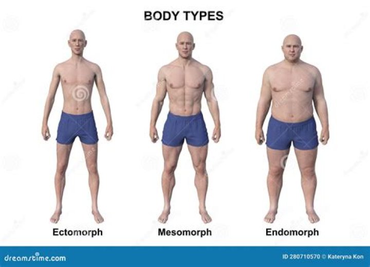Where is endomorph found?