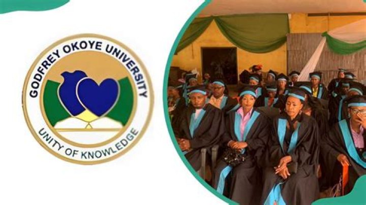 Where is godfrey okoye university located?