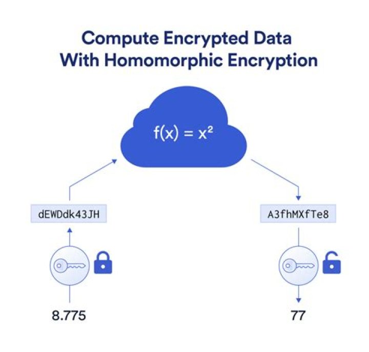 Where is homomorphic encryption used?