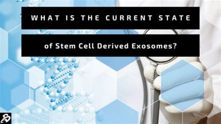 Where is sennit derived from?