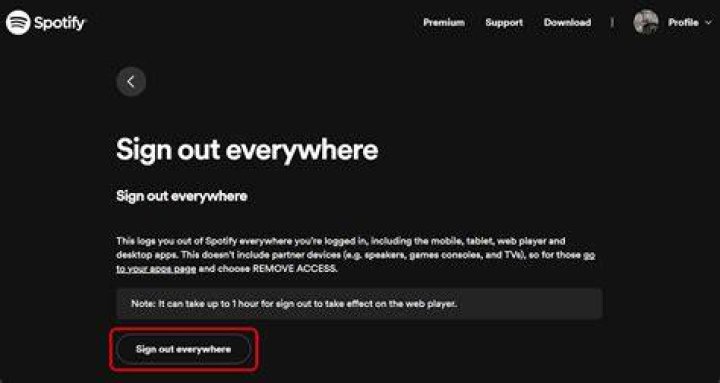Where is sign out everywhere on spotify?