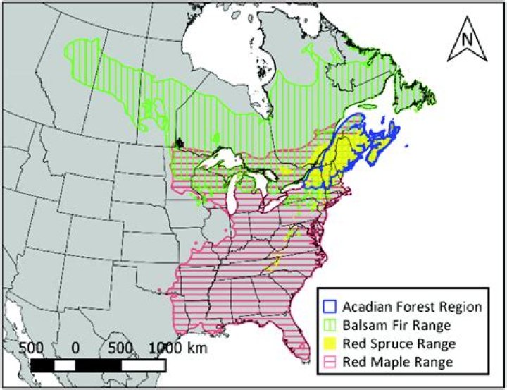 Where is the acadian forest?