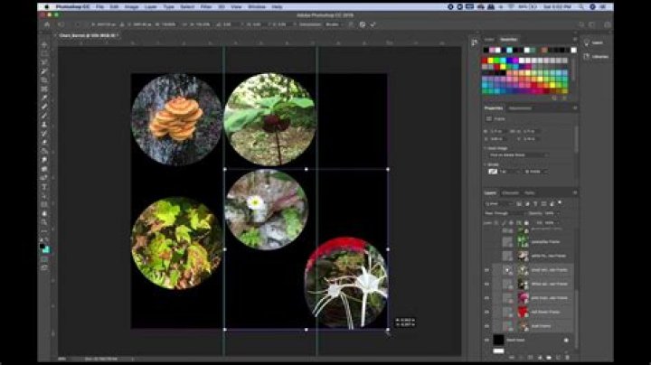 Where is the align tool in photoshop?